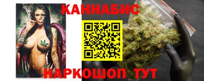 стаф Тула