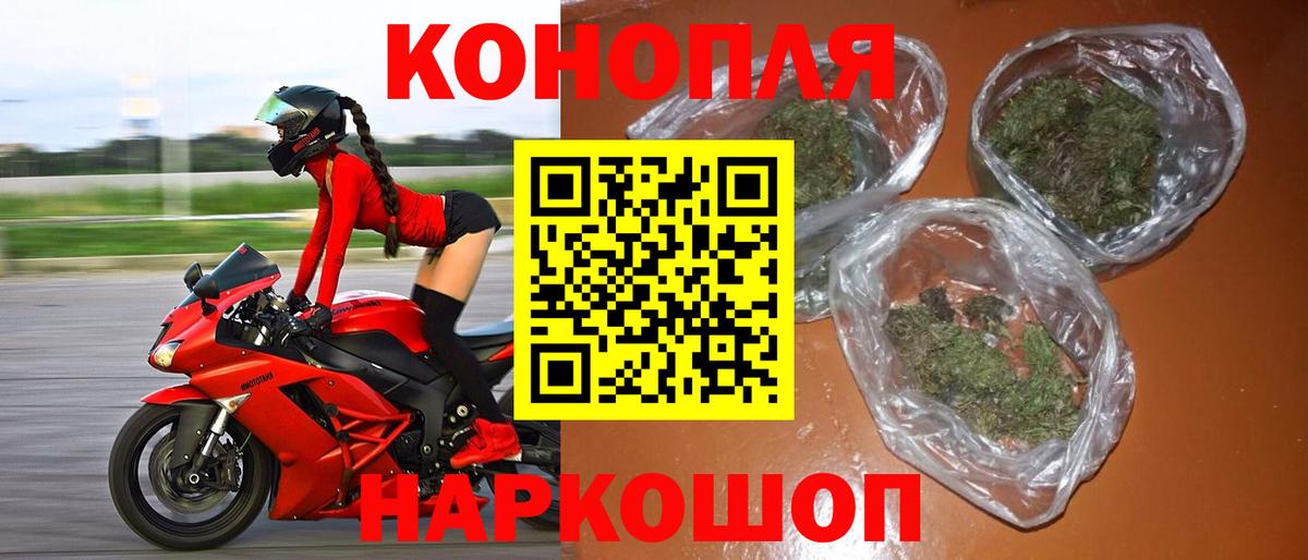 Шишки марихуана планчик  Шишки марихуана марихуана  Каннабис White Widow  Осинники  Шишки марихуана планчик  Вход с VPN 